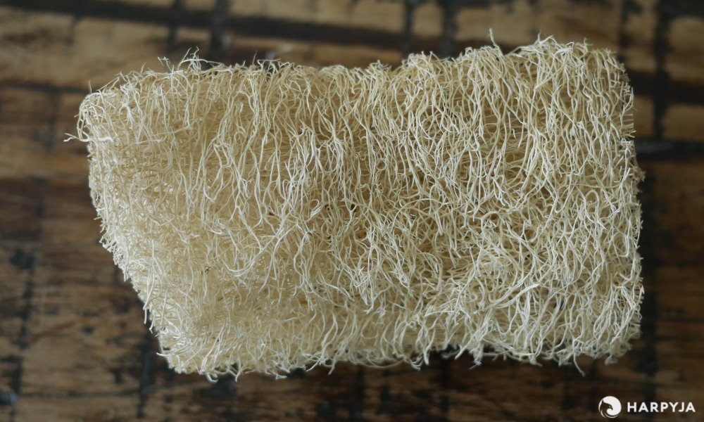 Qual esponja devo usar na cozinha? - Imagem 5