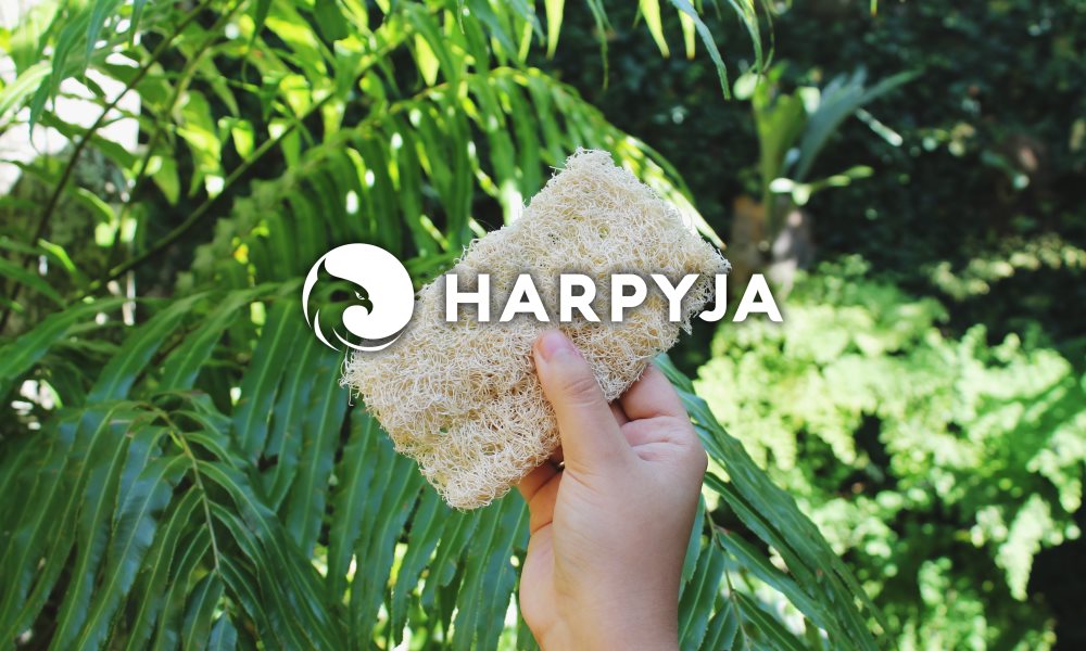 Imagem do blog post A Bucha Vegetal e seus benefícios para cozinha (e para o planeta)
