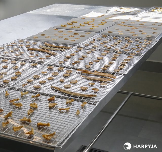 Por que ter um desidratador de alimentos? - Imagem 6