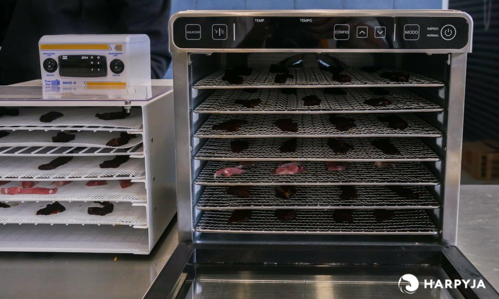Por que ter um desidratador de alimentos? - Imagem 11