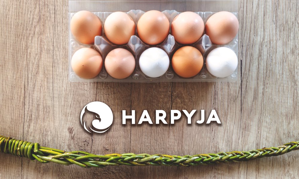 Banner de capa da notícia O rei da versatilidade: o OVO