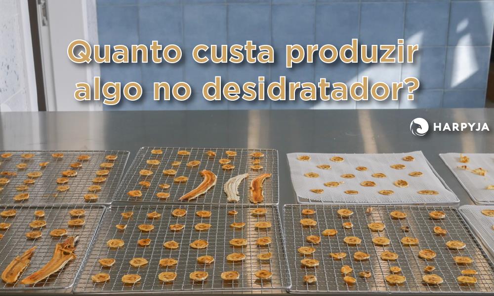 Imagem do blog post Quanto custa desidratar alimentos?