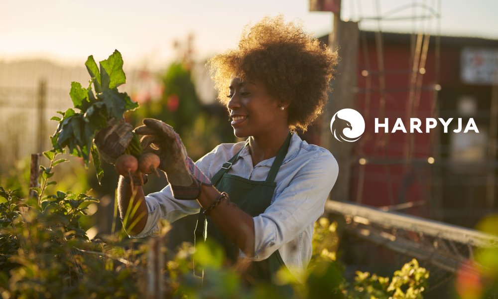 Banner de capa da notícia O que é Slow Food e qual seu impacto na atualidade?