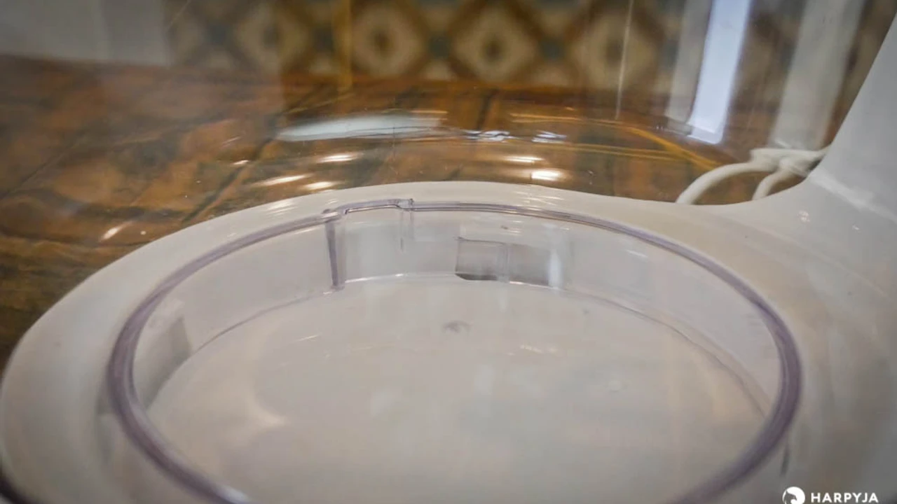 Arno Elipse e Arno Essencial (SX60 e SX70) - Imagem 5