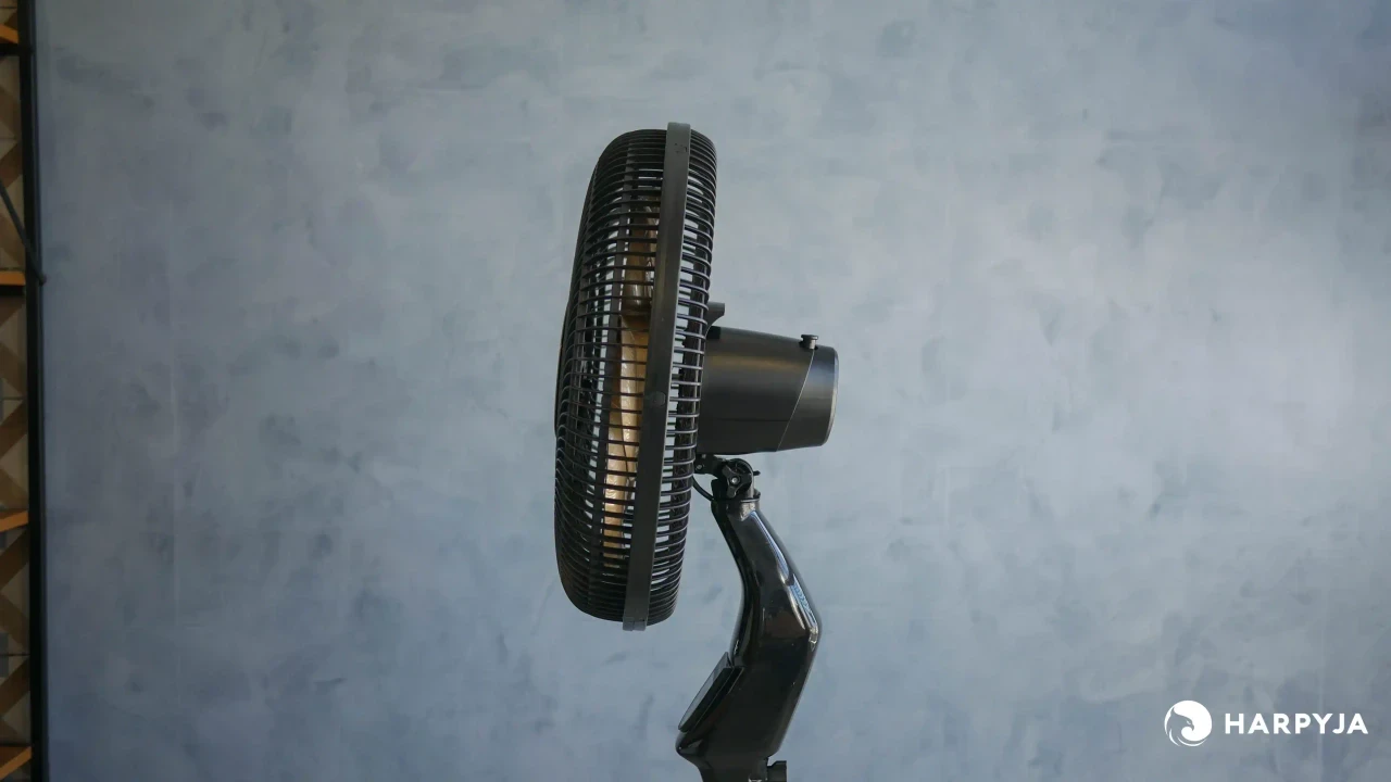 Mallory Chronos - Imagem 3