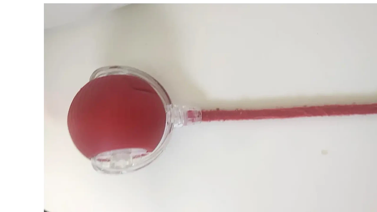 Bolinha Inteligente para Pet  - Imagem 1