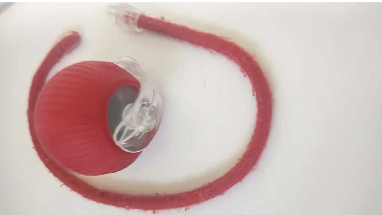 Bolinha Inteligente para Pet  - Imagem 2