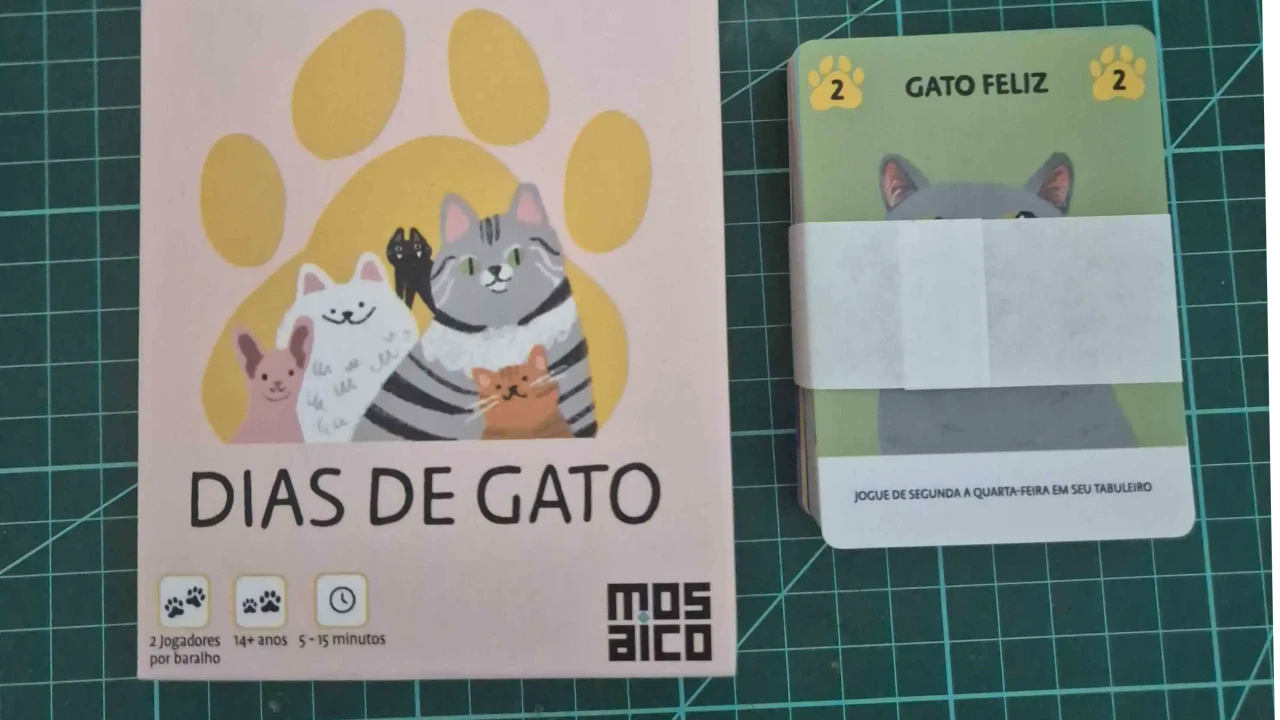 Dias de Gato - Imagem 2