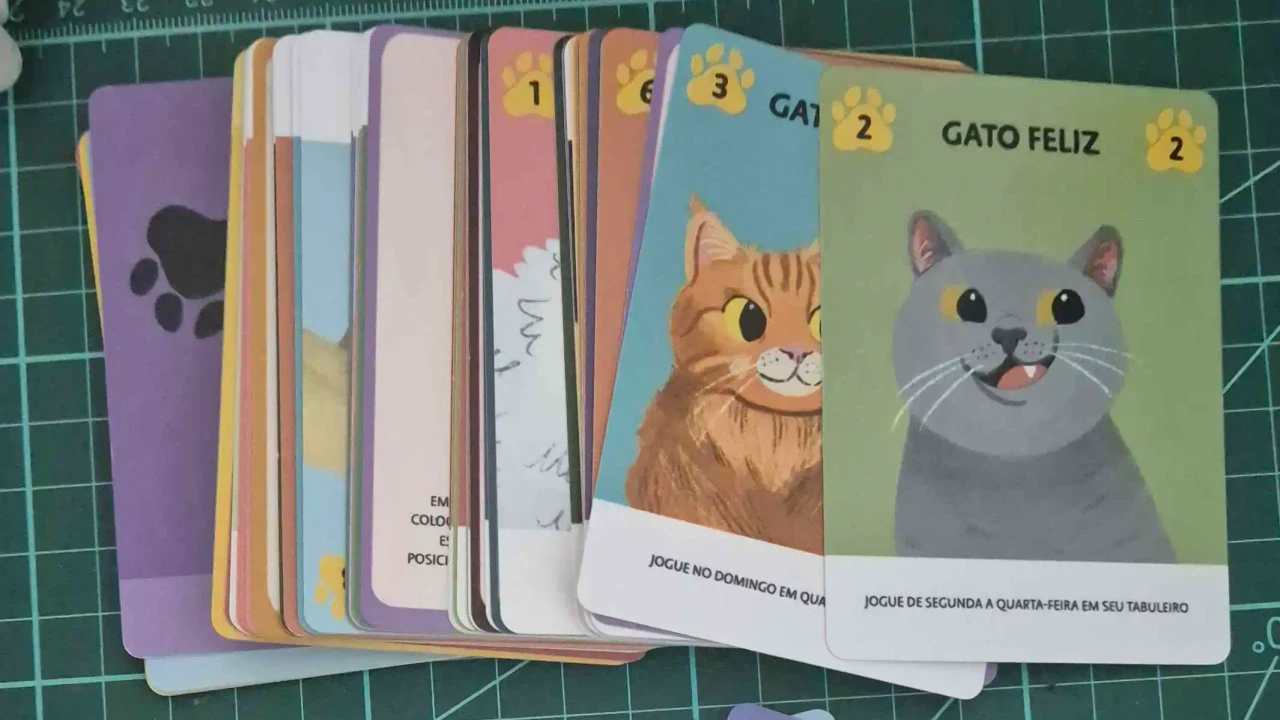 Dias de Gato - Imagem 3