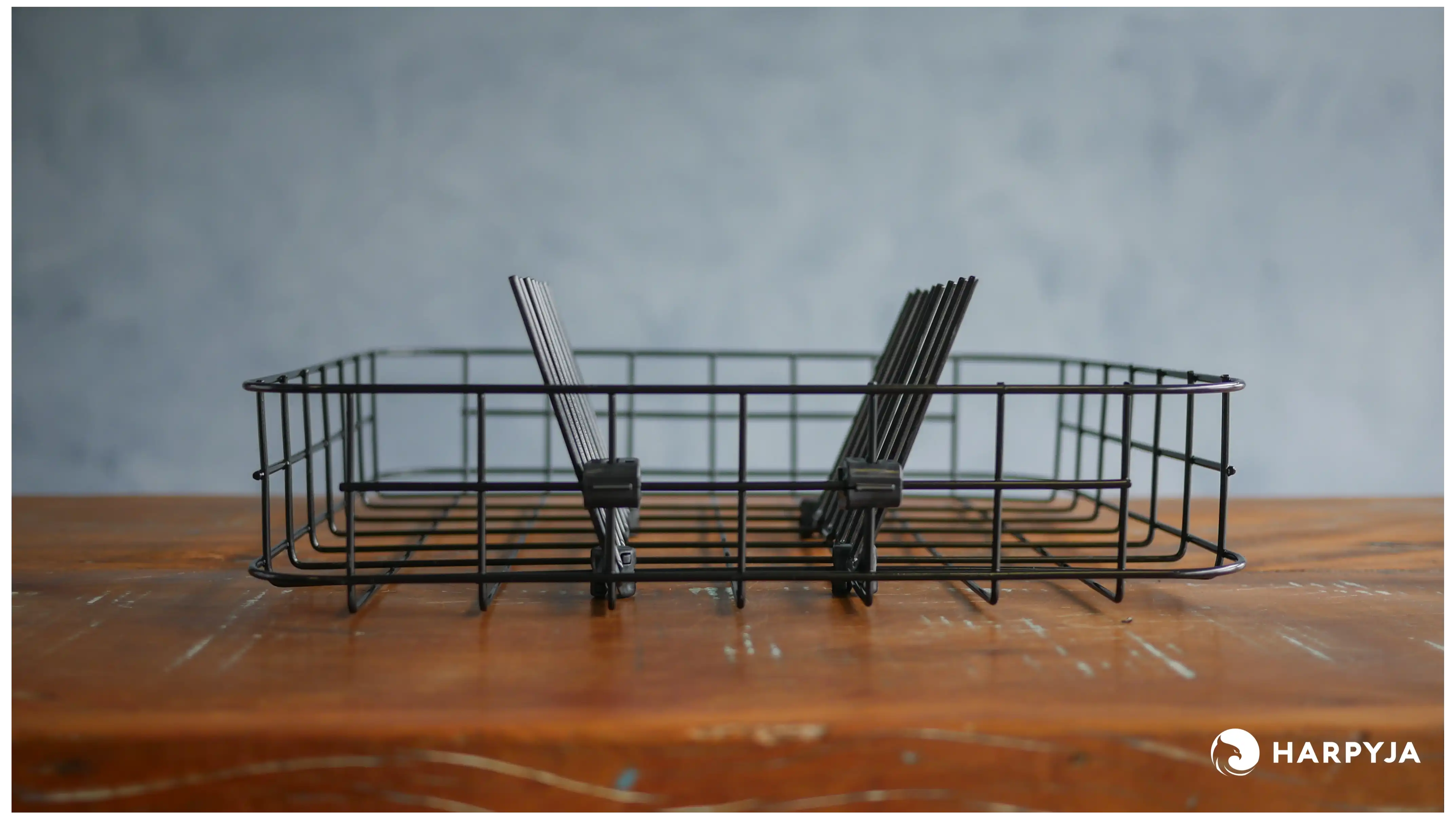 Praxis Portátil LLP-04 - Imagem 11