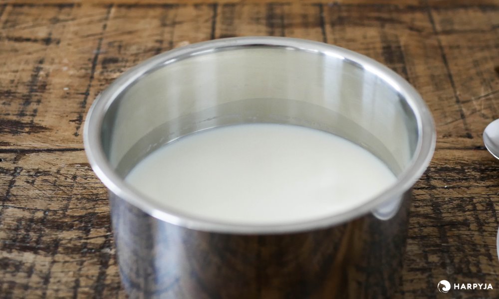 Iogurteira Elétrica Cadence Naturalle - Imagem 28