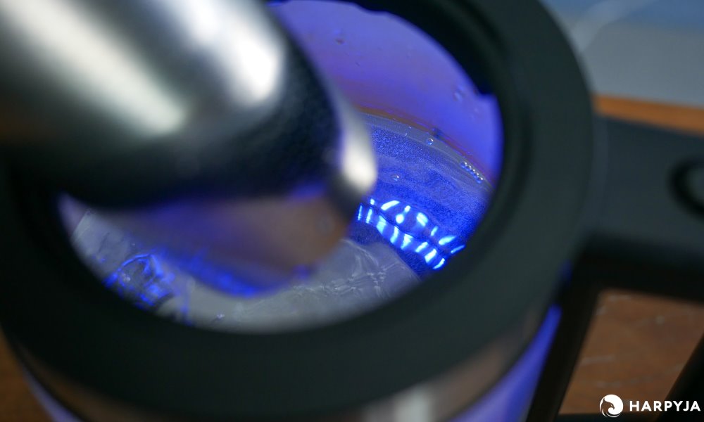 Oster Tea com Infusor de Chá - Imagem 11