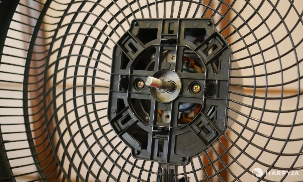 Cadence Windy  - Imagem 11