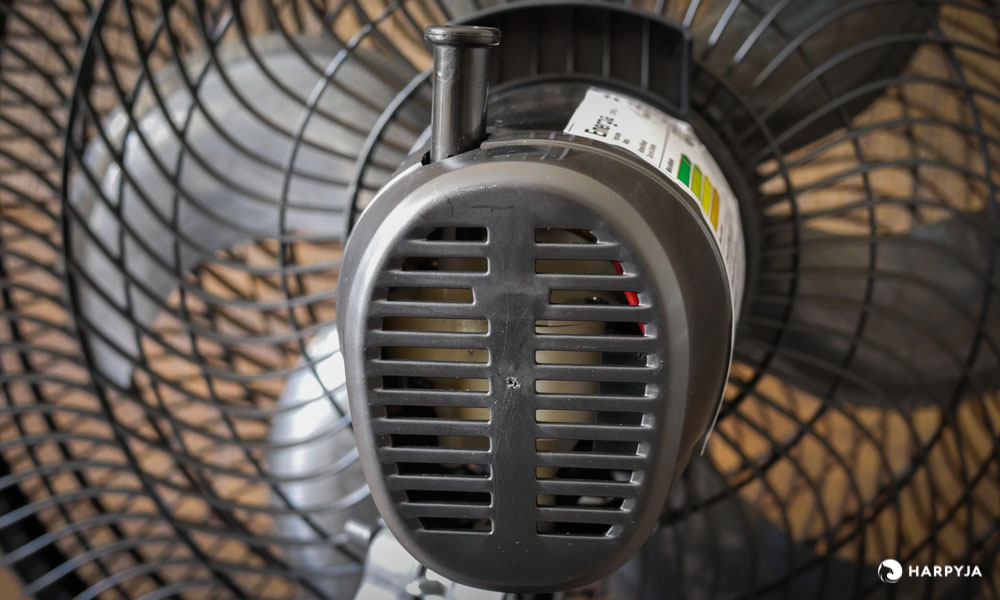 Mallory Olimpo TS - Imagem 7