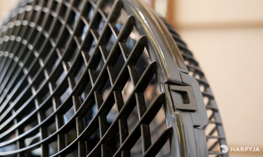 Cadence Windy  - Imagem 8