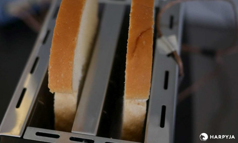 Mondial Toast Duo - NT01 - Imagem 6