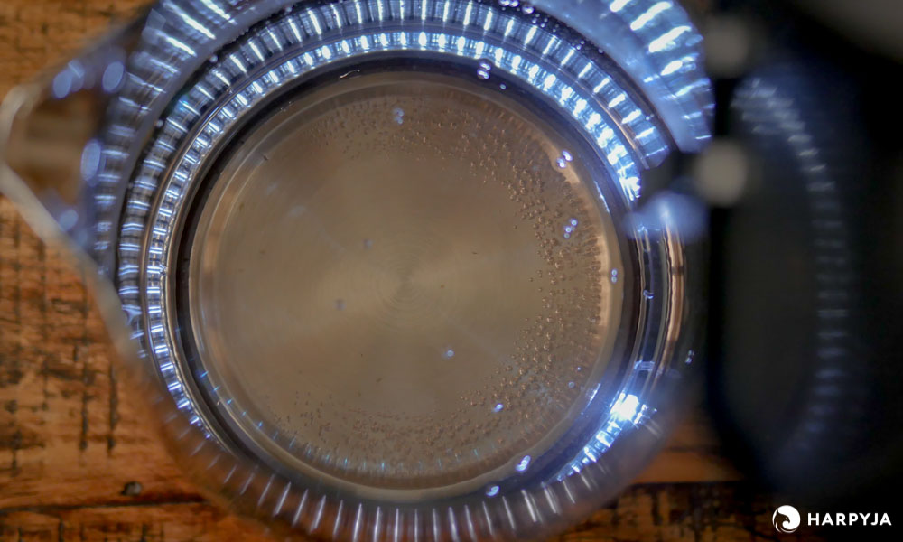 Hamilton Beach com jarra de vidro - Imagem 25