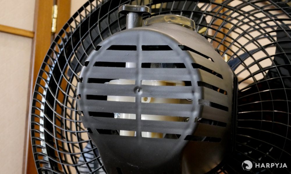 Cadence Windy  - Imagem 3