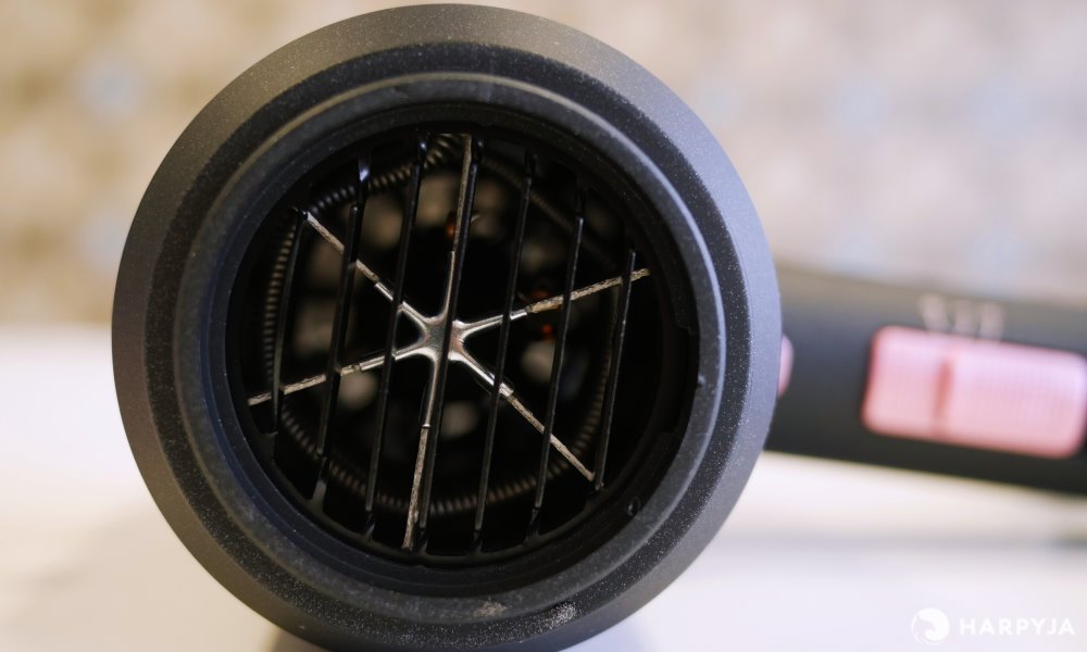 Banner da opinião Mondial Black Rose Ion