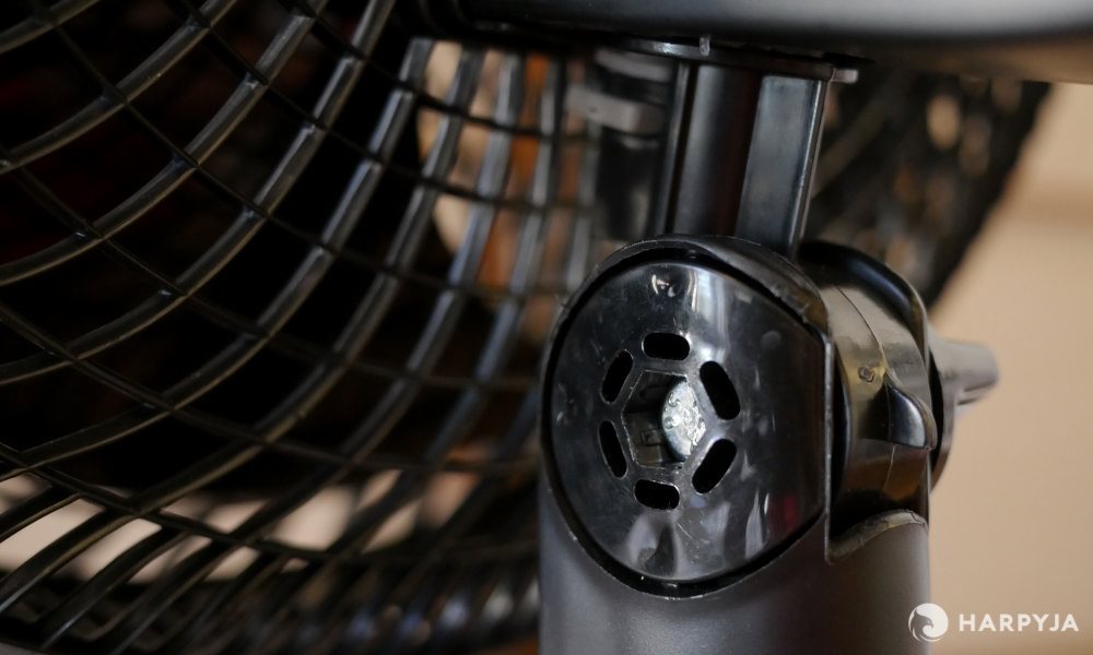 Cadence Windy  - Imagem 5