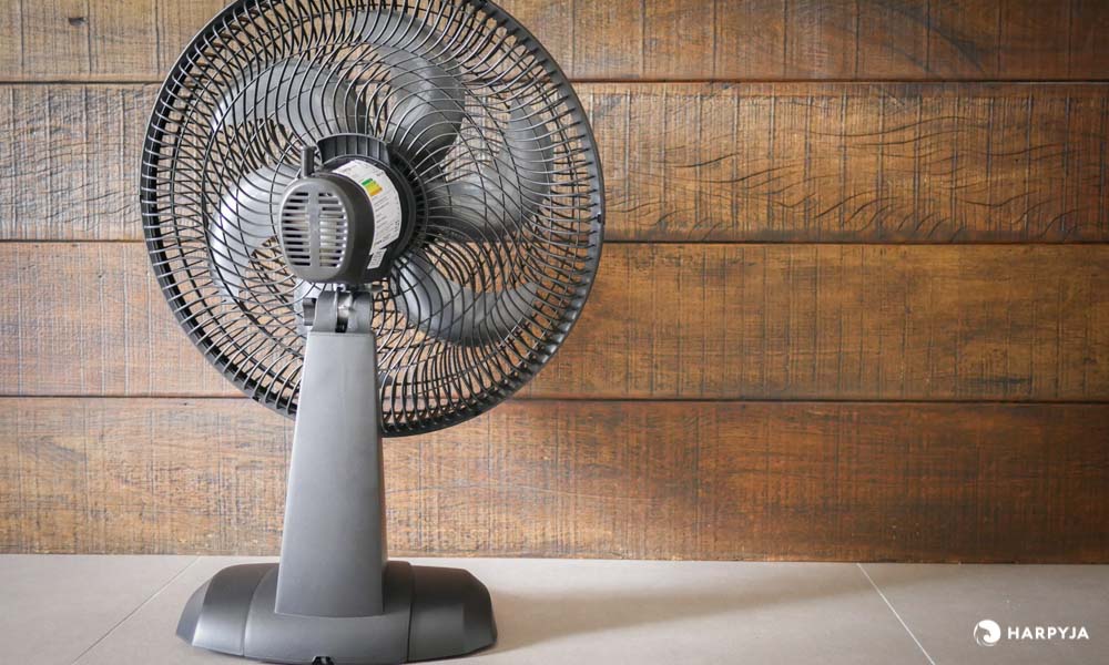 Mallory Olimpo TS - Imagem 3