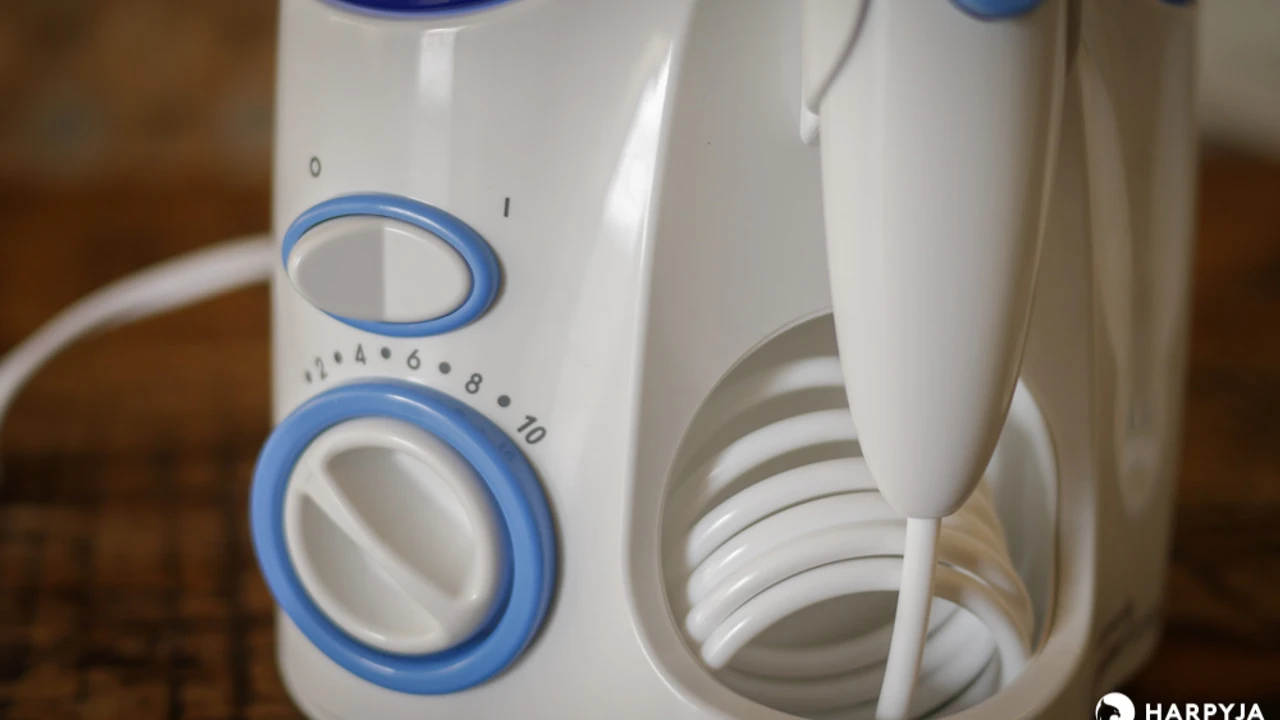 WaterPik WP-100 e WP-660 - Imagem 38