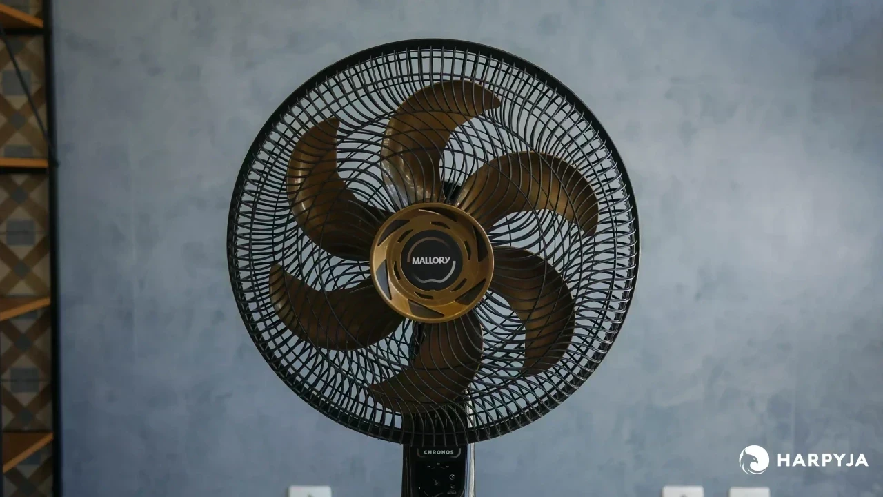 Imagem de Mallory Chronos