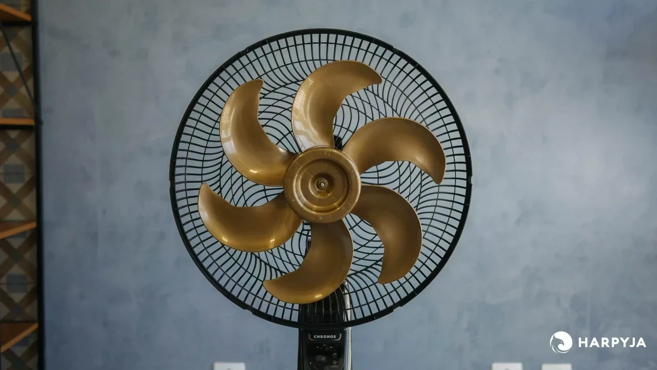 Mallory Chronos - Imagem 2