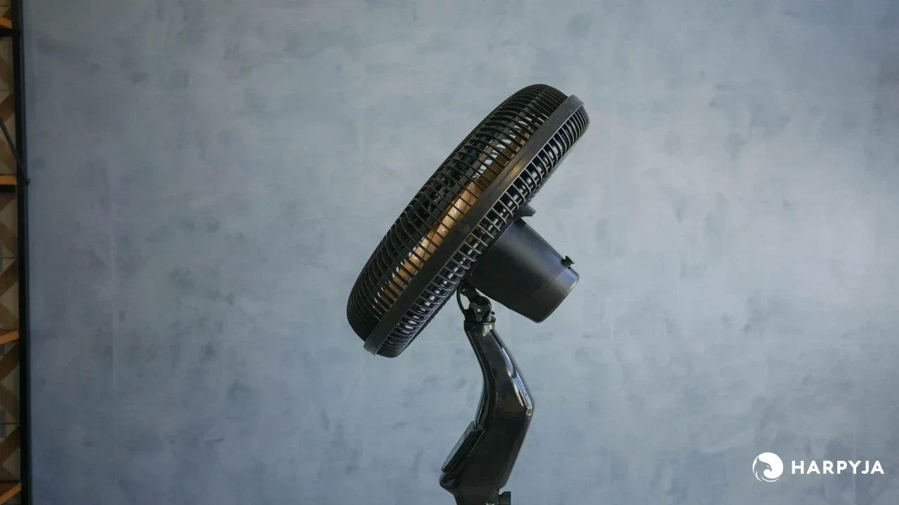 Mallory Chronos - Imagem 5