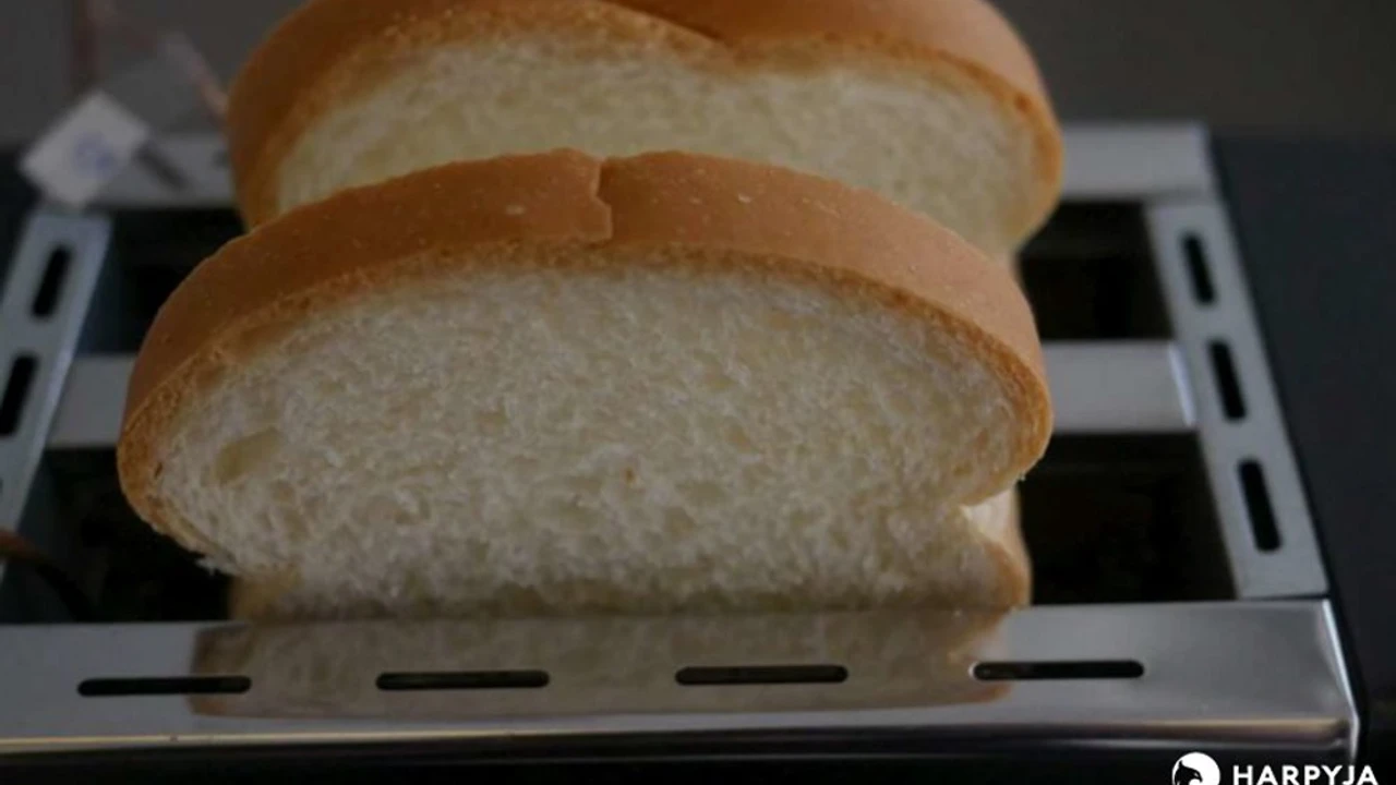 Mondial Toast Duo - NT01 - Imagem 8