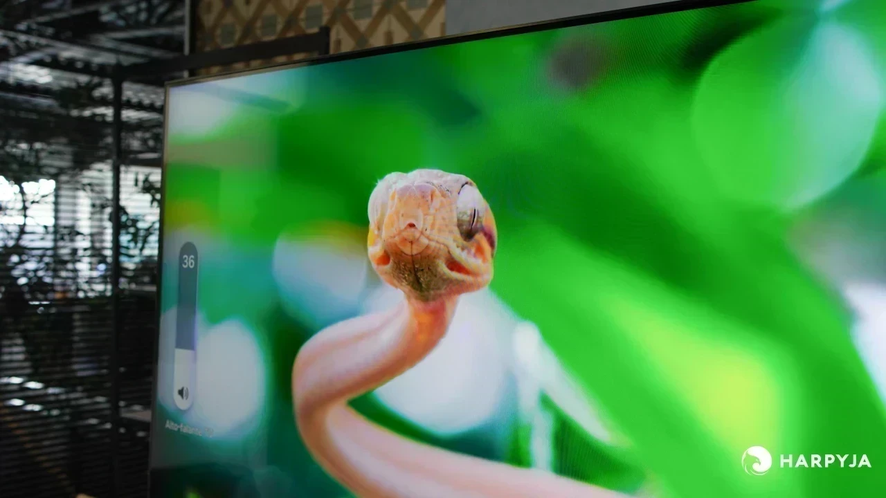 Samsung QN70F - Imagem 19